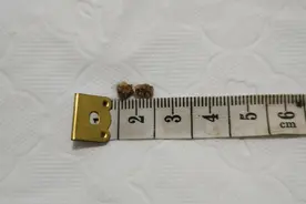 排石过程图片