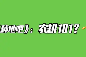 10个少年，花190天种142.8亩地，图啥？能红吗？图片