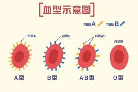 那些藏在血型背后的秘密：别再被“万能血”忽悠了图片