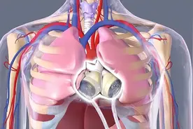 他没有心跳，没有脉搏，却跟正常人一样生活了七年图片