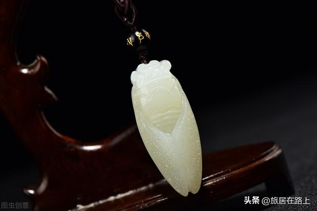 知了在声声叫着夏天，我们来蝉中说蝉，聊聊关于蝉的冷知识