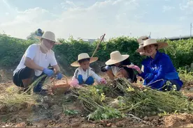 王楠带娃回农村挖花生，戴草帽干活动作利落，穿雨靴蹲泥地没架子图片