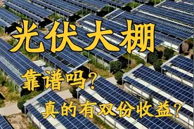 一亩的光伏大棚，装机量有多大？年发电是多少？真的有双份收益吗图片