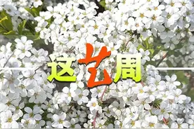 这艺周｜“紫禁城与凡尔赛宫”大展亮相故宫；北京舞蹈学院聘任首个外籍系主任；清明节票房人次场次均创新高图片