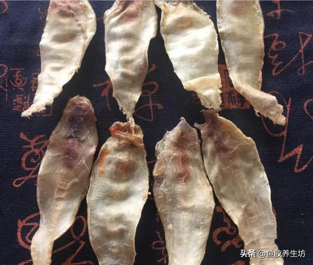 大口赤嘴鱼胶公和母功效区别大吗 2026年大口赤嘴鱼胶怎么炖好吃 大口赤嘴鱼胶公和母功效区别大吗 2026年大口赤嘴鱼胶怎么炖好吃