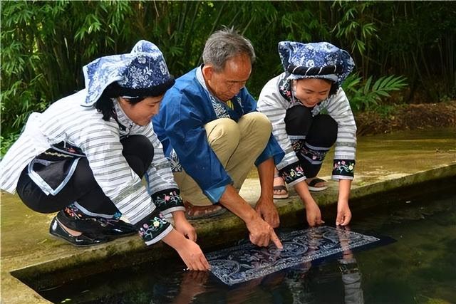 贵州惠水枫香染病毒营销方案策划