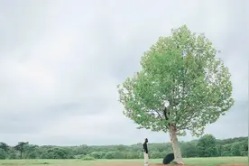 面对伤害过你的人，不必原谅，最好的方法是这样的图片