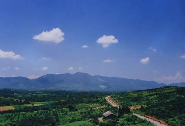 柳叶湖建区30周年回眸｜从绿水青山到金山银山的蝶变之路(图9)