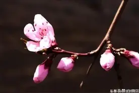 现在回头看，不得不说国家在去年12月将新冠疫情放开是多么的英明图片