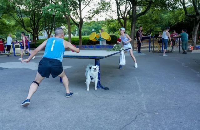 ���߽��ϸ� �������á���ȫ����Ӱ��չ�ɷ���Ӱ