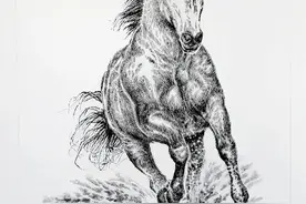 朴永哲钢笔画《水中的骏马》图片