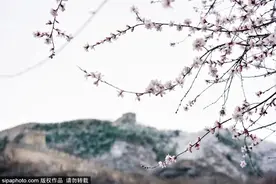 京郊网红赏花地来啦，值得打卡！图片