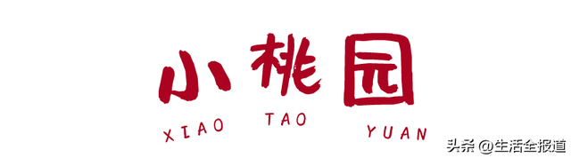 花胶大王 2026年花胶大王范姐