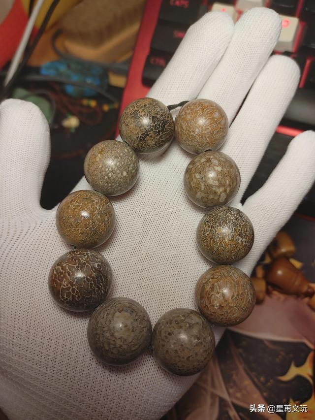 牛角化石辟邪吗