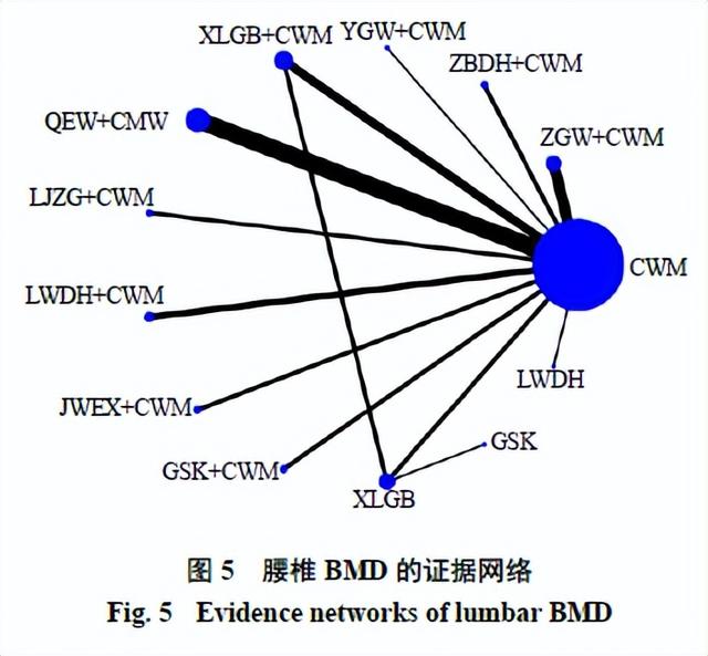 补肾类中成药治疗绝经后骨质疏松症有效性与安全性的网状Meta分析