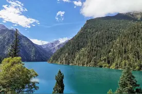 亲身经历揭露成都低价旅游团骗局（一）图片