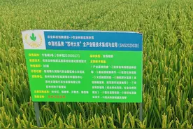 宁香粳9号冠名超级稻！已列入苏州市主推品种目录图片