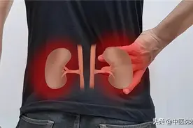 肾虚 脾虚 五脏都虚！一剂“补药之王”让你活力四射，元气满满图片