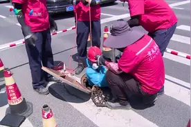 “微创手术” 半天修复雨污破损管道图片