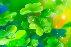 相由心生，貌由德变！命由天定，运由己改图片