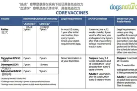 养犬家庭需存！狗需要接种的疫苗知识图片