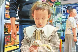 治愈又解压，年轻人爱上异宠图片