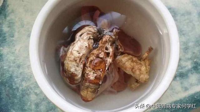 金蝉花胶襄 2026年金蝉花胶囊 金蝉花胶襄 2026年金蝉花胶囊