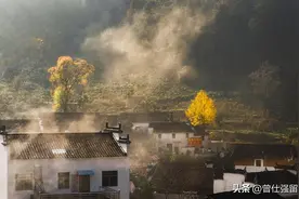 曾仕强国学智慧：结婚了选择不跟婆婆住是对的吗？图片