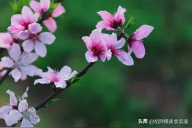 明日清明，牢记：1不闻，2不带，3不吃，4不做，做对了一年无灾祸图片
