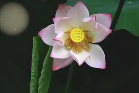 请人帮忙需要“送礼”？聪明人掌握这2个原则，轻松把礼物送出去图片