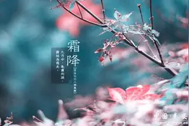 【二十四节气·霜降】霜降冬将至 时至秋日终图片