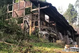 流浪汉在废弃屋子住了半年，没钱买饭只能吃螃蟹图片