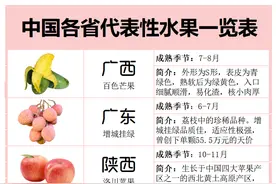 水果的知识大全 之《中国各省代表性水果》图片