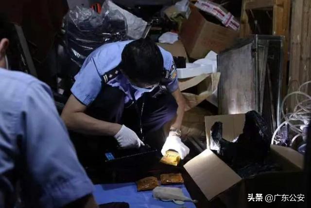 团伙合谋走私电子废品7余吨，案值近亿元