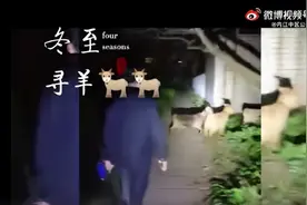 民警找回走失山羊，次日收到一锅羊汤图片