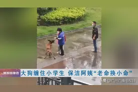 大狗缠住孩子，保洁阿姨舍身紧挡...这一幕让全网揪心！图片