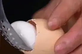 现在市场上有人造鸡蛋，成本低至一角钱，专家辟谣图片