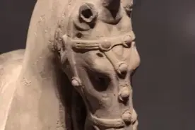 圣经记载的独角兽原是中国异兽，生活在喜马拉雅山，韩国人不服？图片