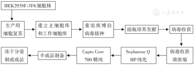 人用疫苗的分类及生产工艺