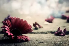 越穷的人，越喜欢让子女从事这2种工作，结果越来越穷图片