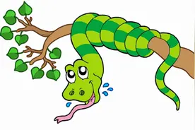 菜花蛇无毒，为什么被称为“百蛇之王”，为什么毒蛇会怕菜花蛇？图片