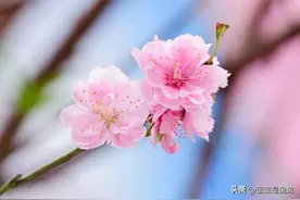 愿你早日康复图片