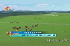 中国坝上草原欢乐季｜纵情草原 畅玩河北：牛羊成群、蓝天碧草…在清凉秘境爱上盛夏图片