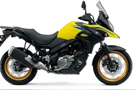 进口铃木探险车型DL650图片