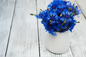 过了五十后，要学会对子女“装”，将三个隐私烂在心底图片