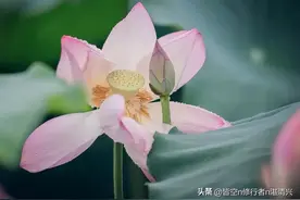 一个人的财富，是命中注定的图片