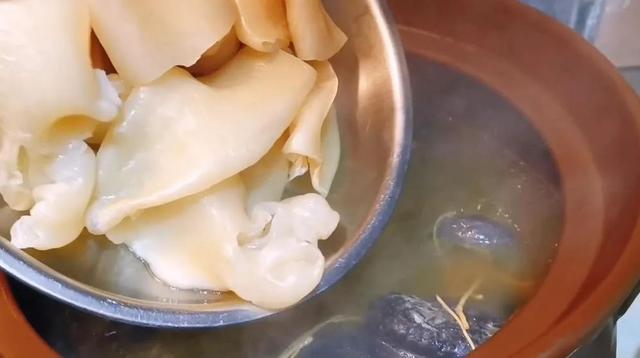 南非花胶的作用 南非花胶的作用是什么