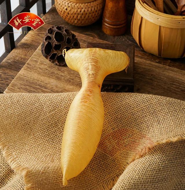 鱼胶的禁忌与副作用 2026年鱼胶的禁忌与副作用