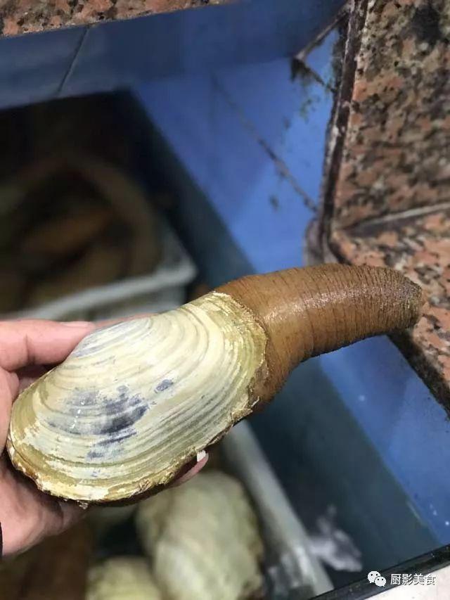花胶选几级的 花胶等级顺序鱼胶排名大全