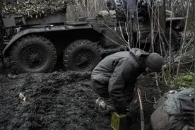 巴赫穆特“血腥坟场”，突现一只黄毛胖狗，网友：吃啥胖成这样图片